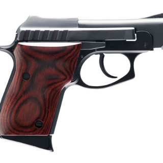 Taurus PT22 Rosewood 22LR Rimfire Pistol