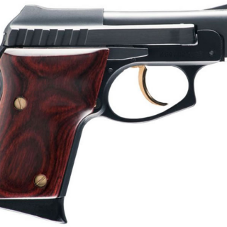 Taurus PT-22 22LR Rimfire Pistol