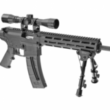 Smith & Wesson M&P15-22 Sport OR 22LR